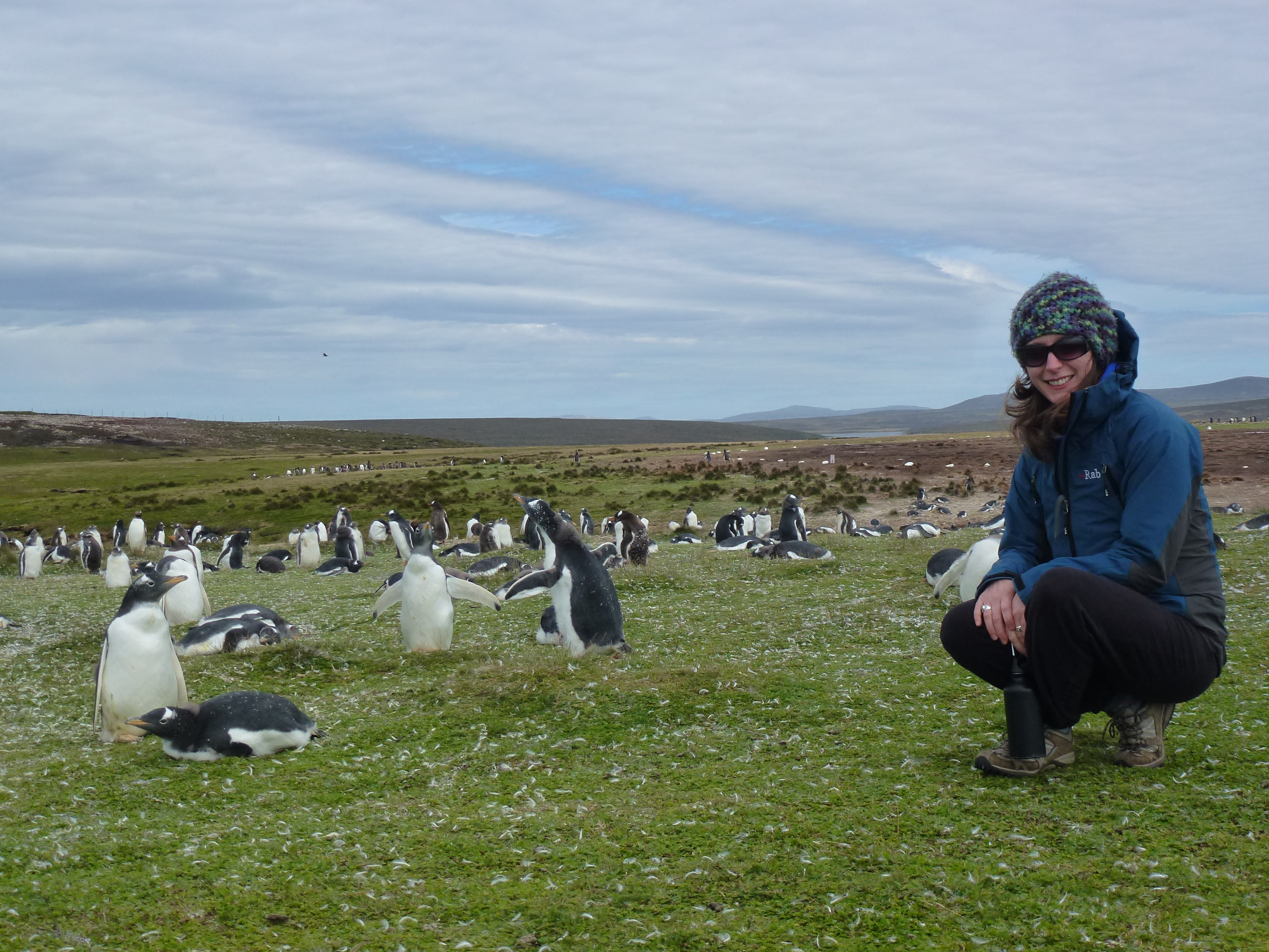 Above: Dr Frances Hopkins in the Falklands pictured alongside a large group of Gentoo penguins. Like other penguin species, gentoo penguins rely on the ocean for food and are never far from the water.   