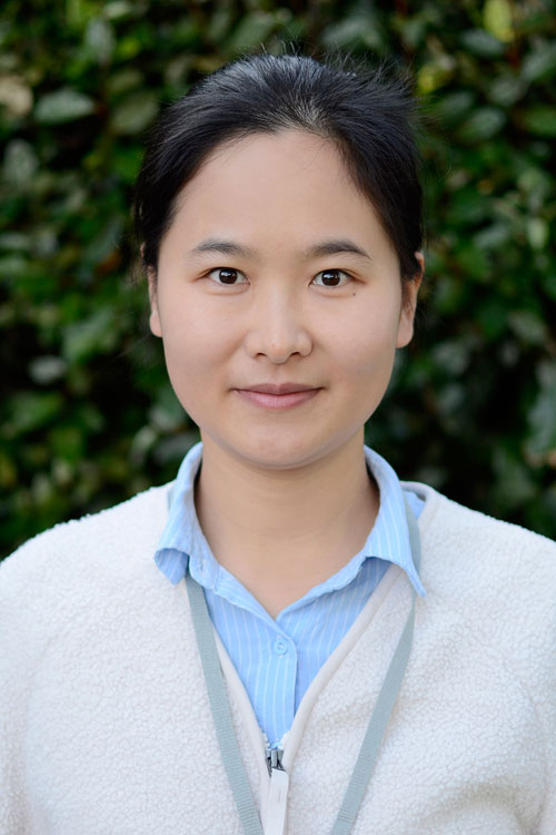 Dr Xiaohan Liu