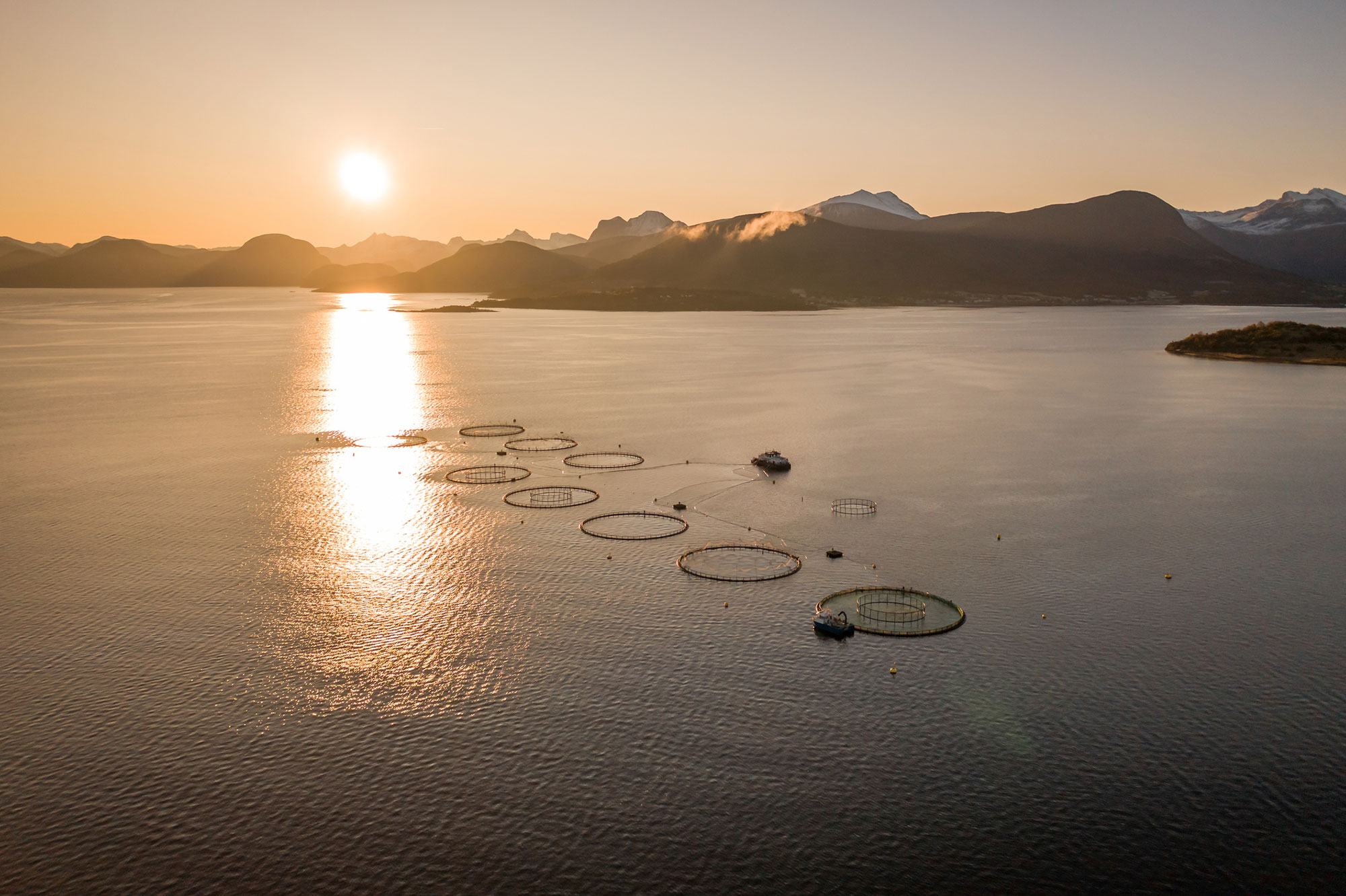 Aerial view of an aquaculture farm at sunset