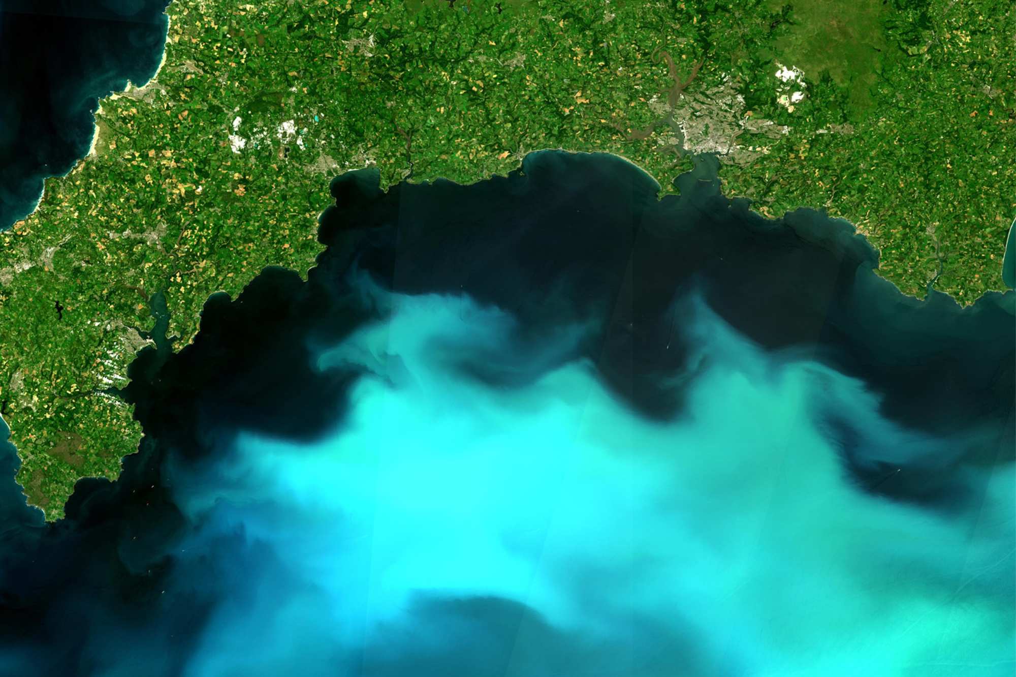 Satellite algal bloom