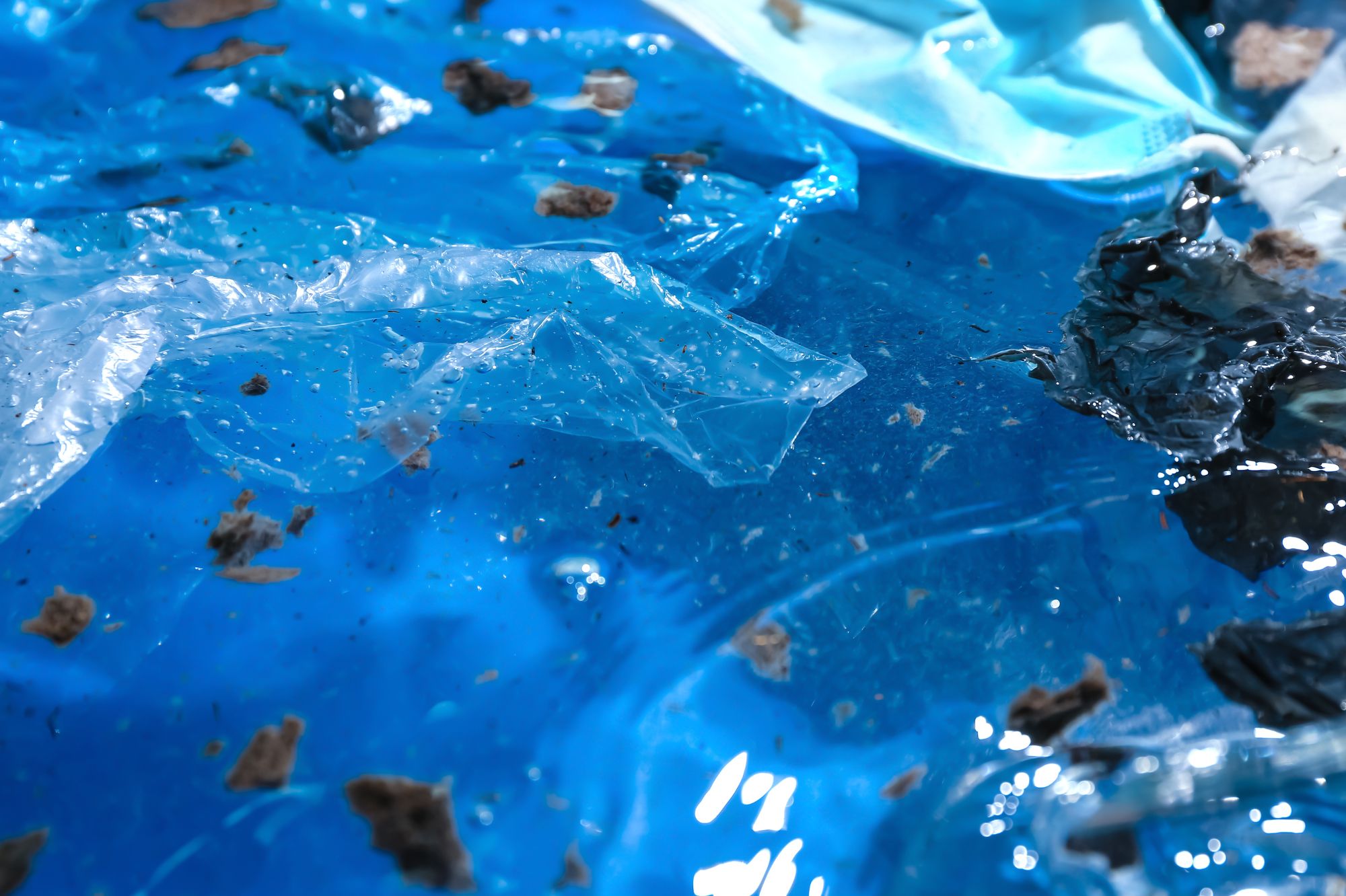 Plastic litter in ocean