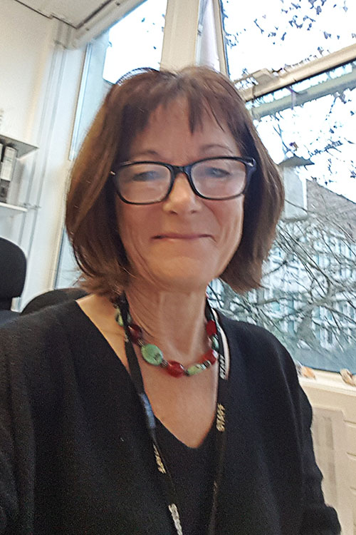 Professor Carole Llewellyn