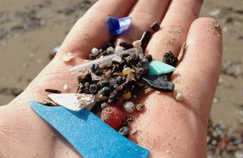 Hand holding plastic litter from a beach