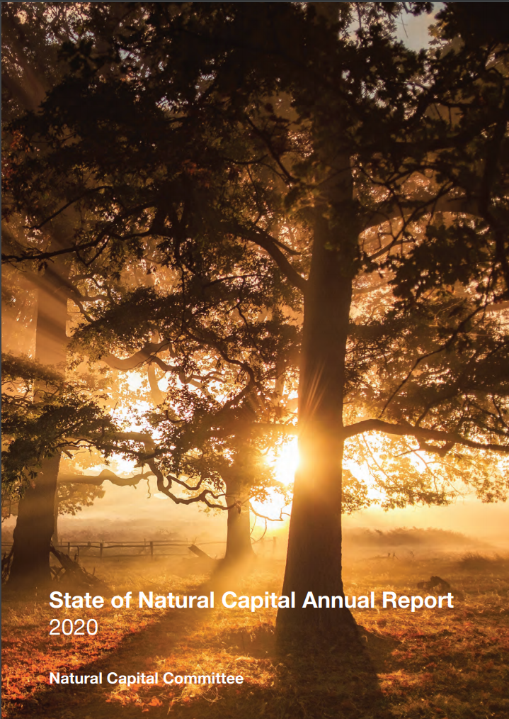 State of Natural Capital Annual Report 2020