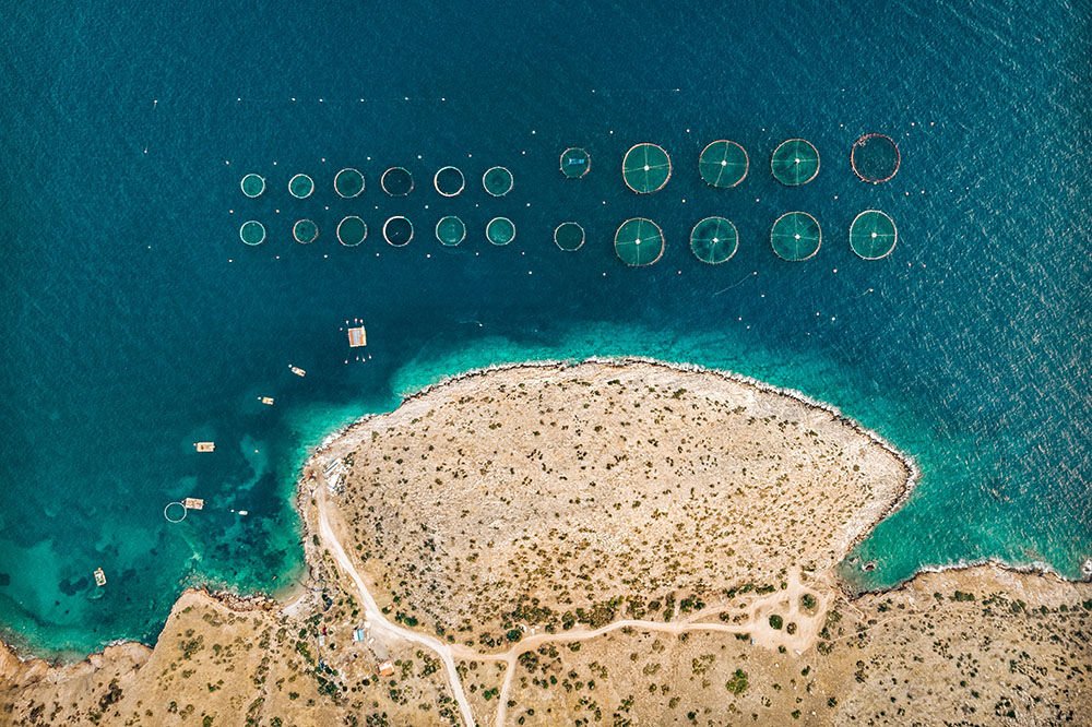 Aquaculture in Greece. Alex Antoniadis | Unsplash