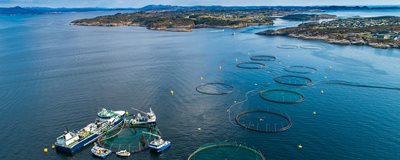 Aquaculture cages and boat