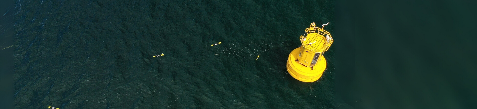 Yellow E1 data buoy at sea