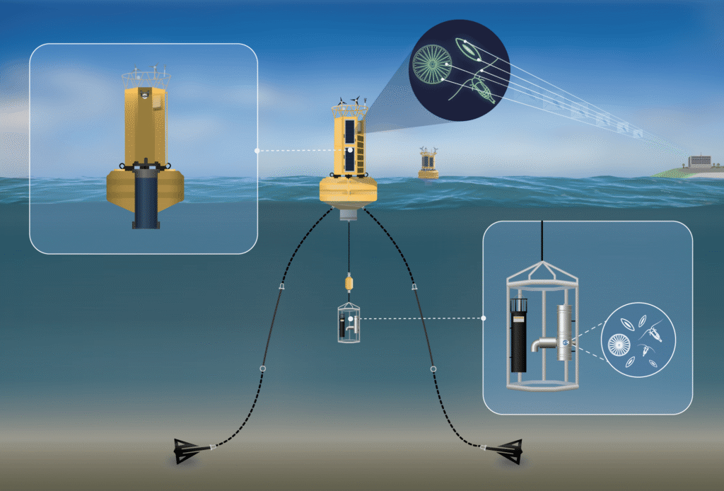 The Automated, in situ Plankton Imaging and Classification System (APICS)