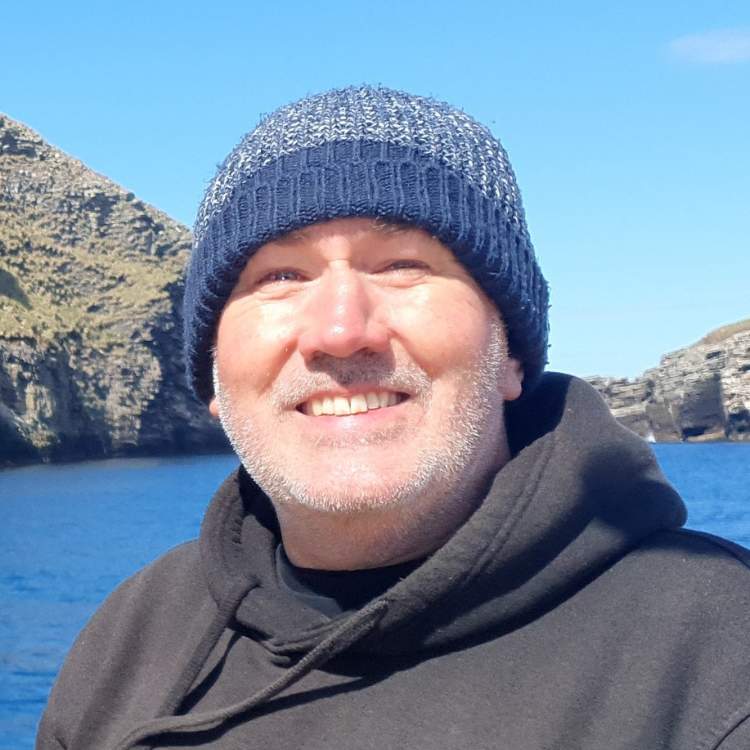 Professor Andy Rees