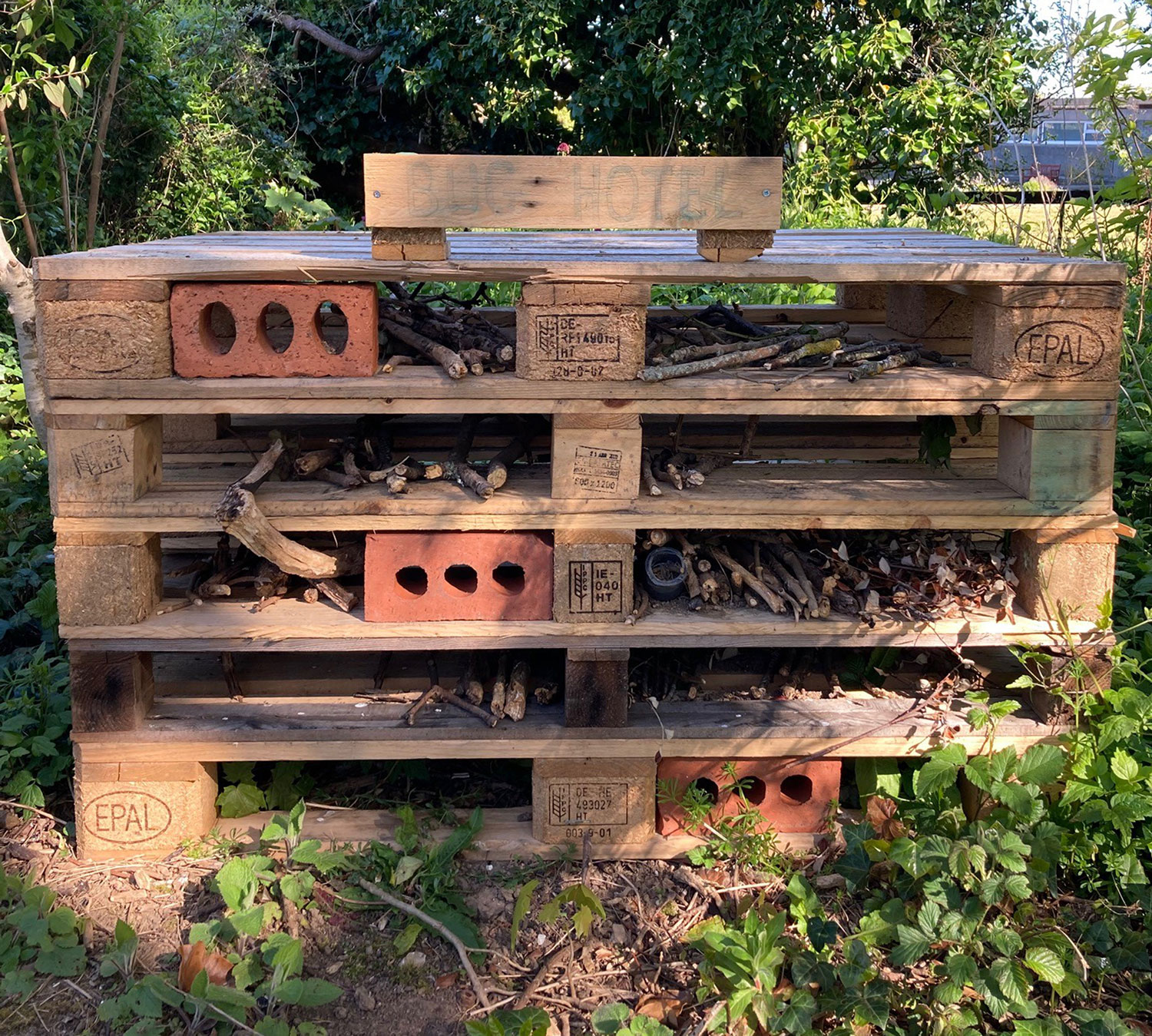 Bug-hotel-at-plymouth-marine-laboratory-RS.jpg