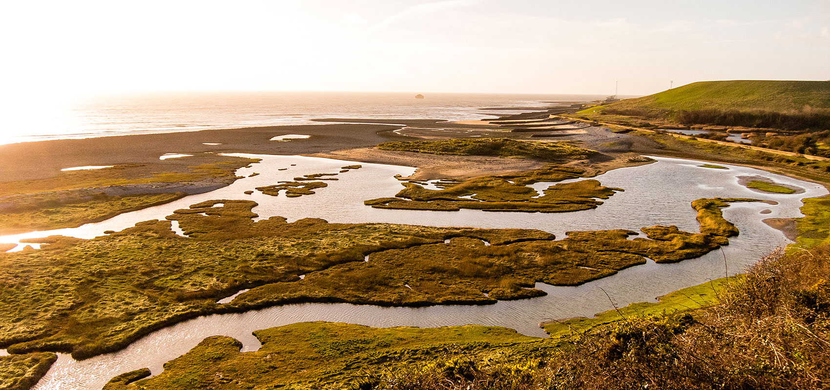 Saltmarsh
