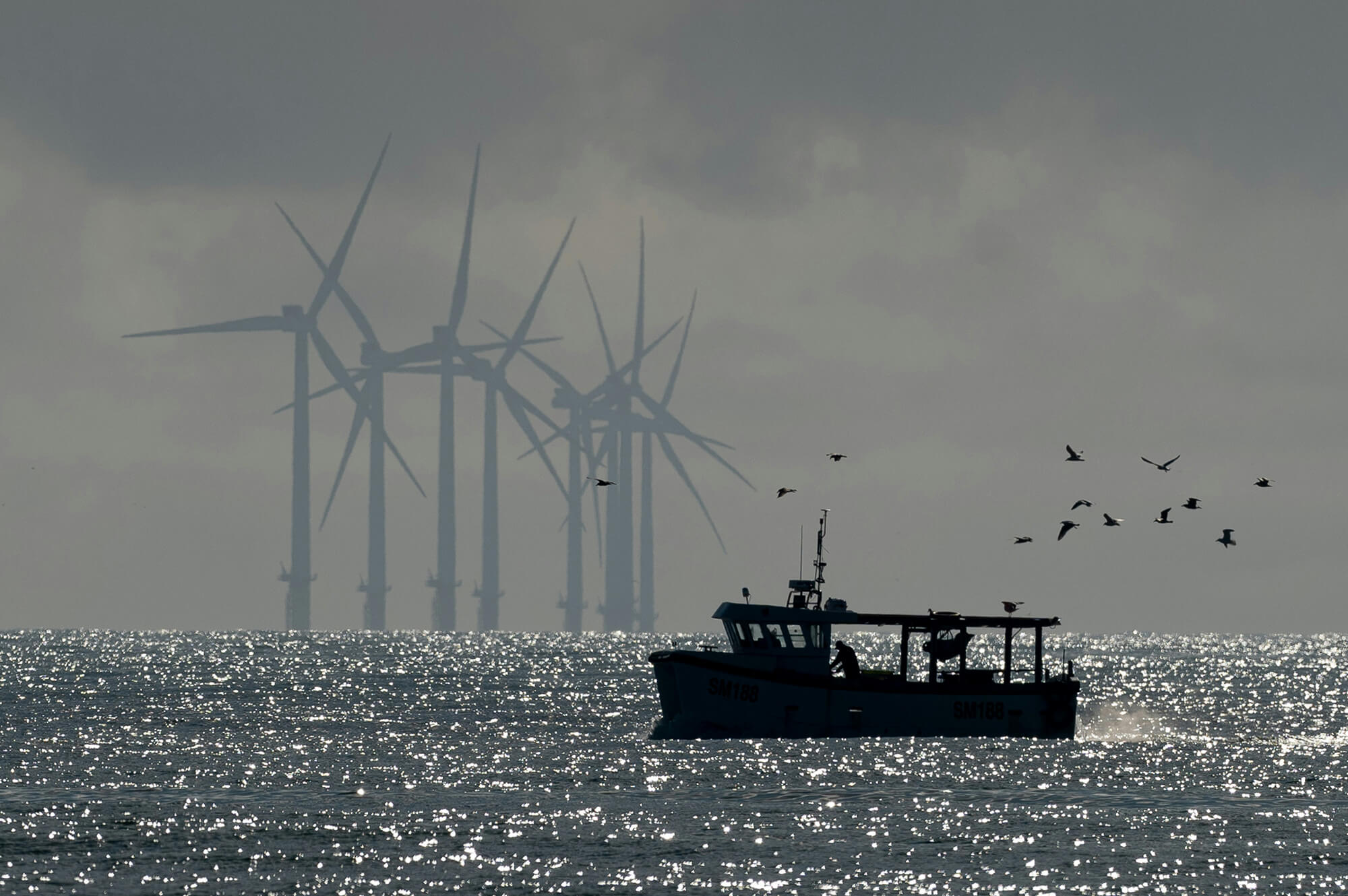 Multiple uses of the marine environment. Bob Brewer | Unsplash
