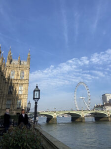 Houses of Parliament & Westminster Bridge. Anneliese Hodge