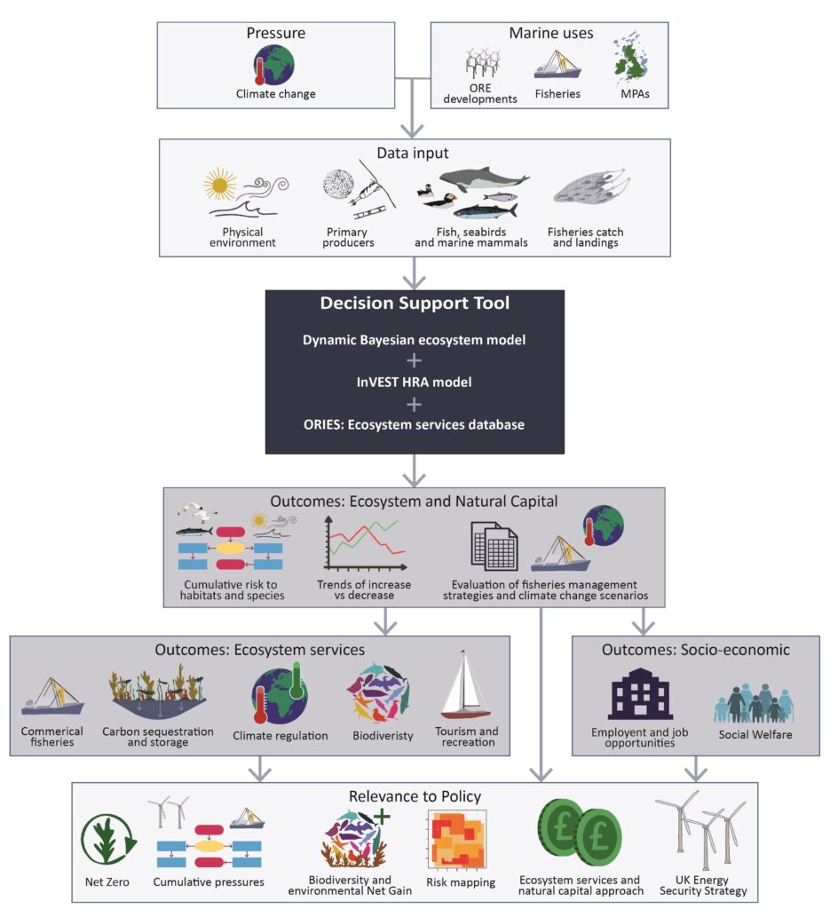 Schematic representation of the proposed strategic approach of a methodology roadmap