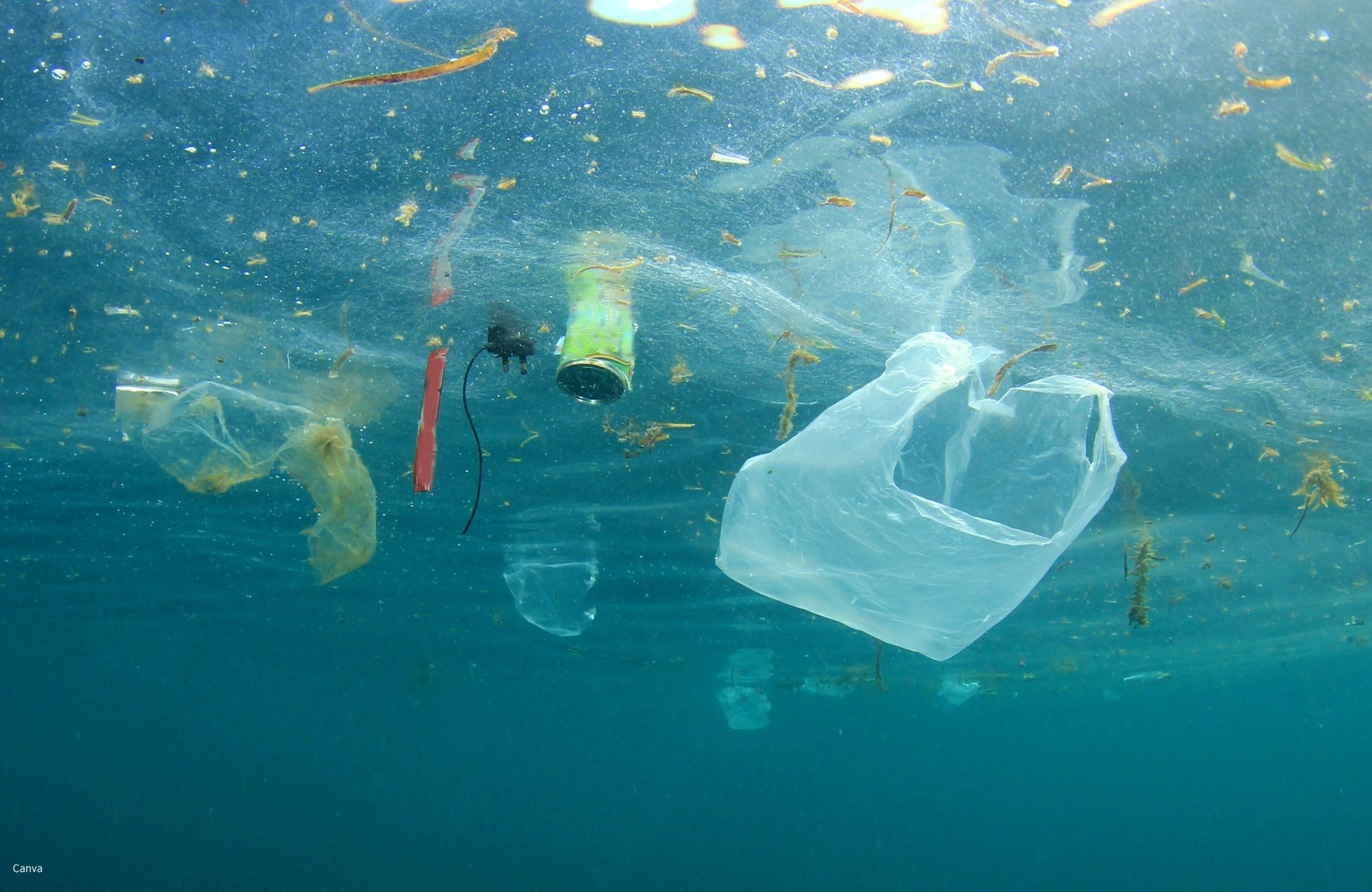 Ocean plastic. Canva