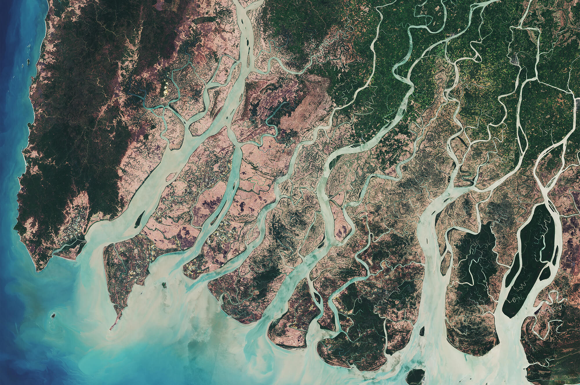 Irrawaddy Delta aerial image could be mistaken for an histology slide. Image courtesy of the European Space Agency