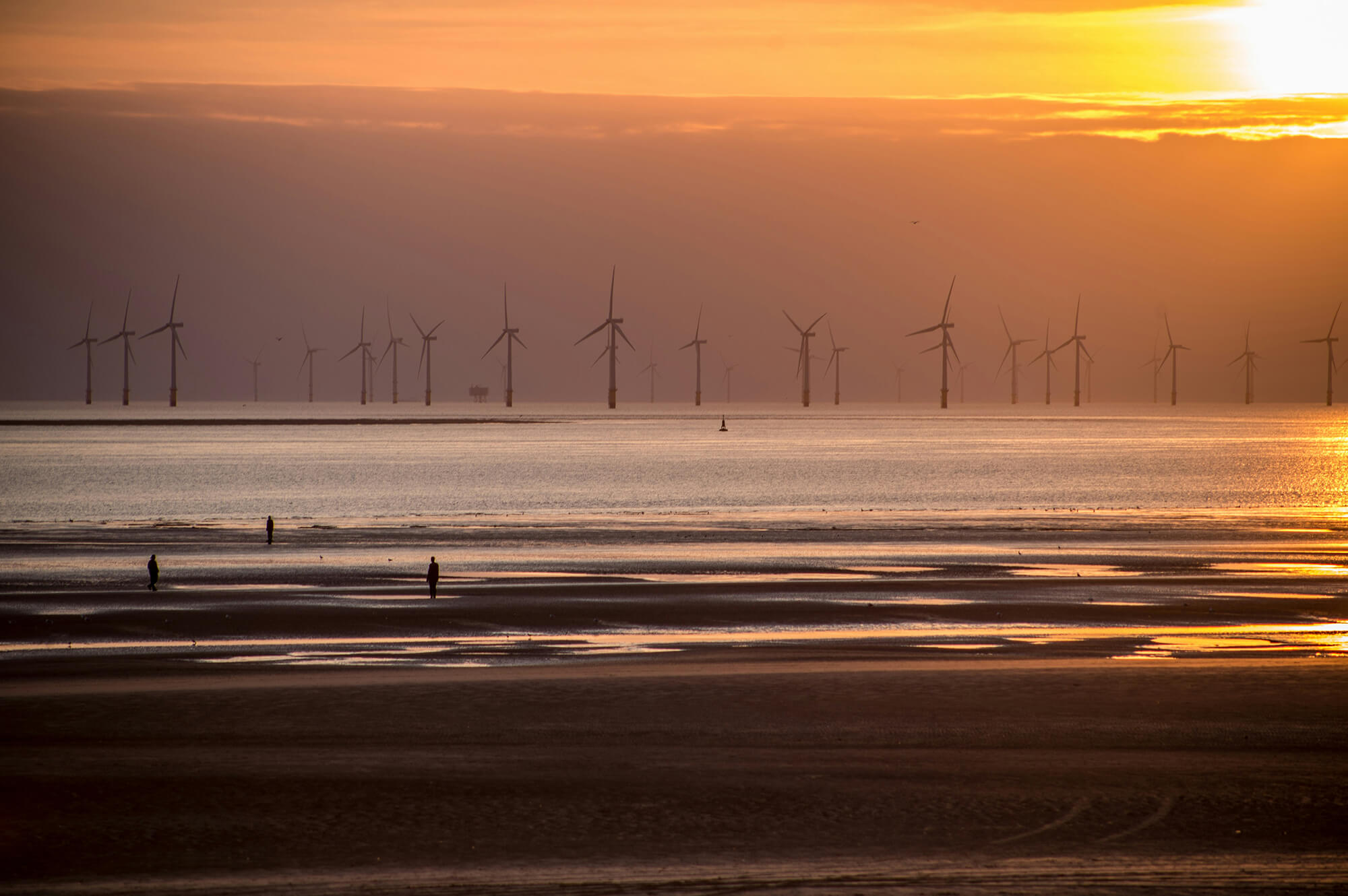 Offshore windfarm. Carl Raw | Unsplash
