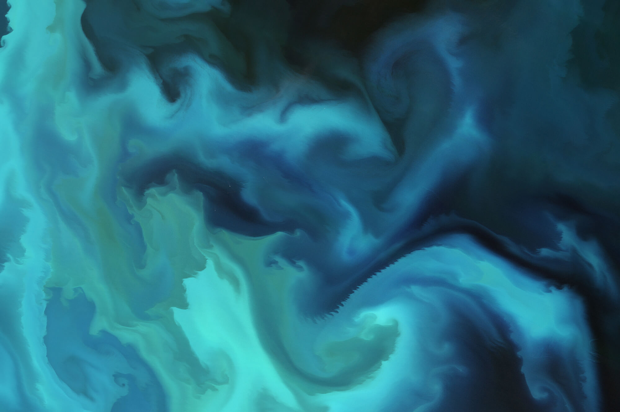 Plankton bloom in the Barents Sea | European Space Agency