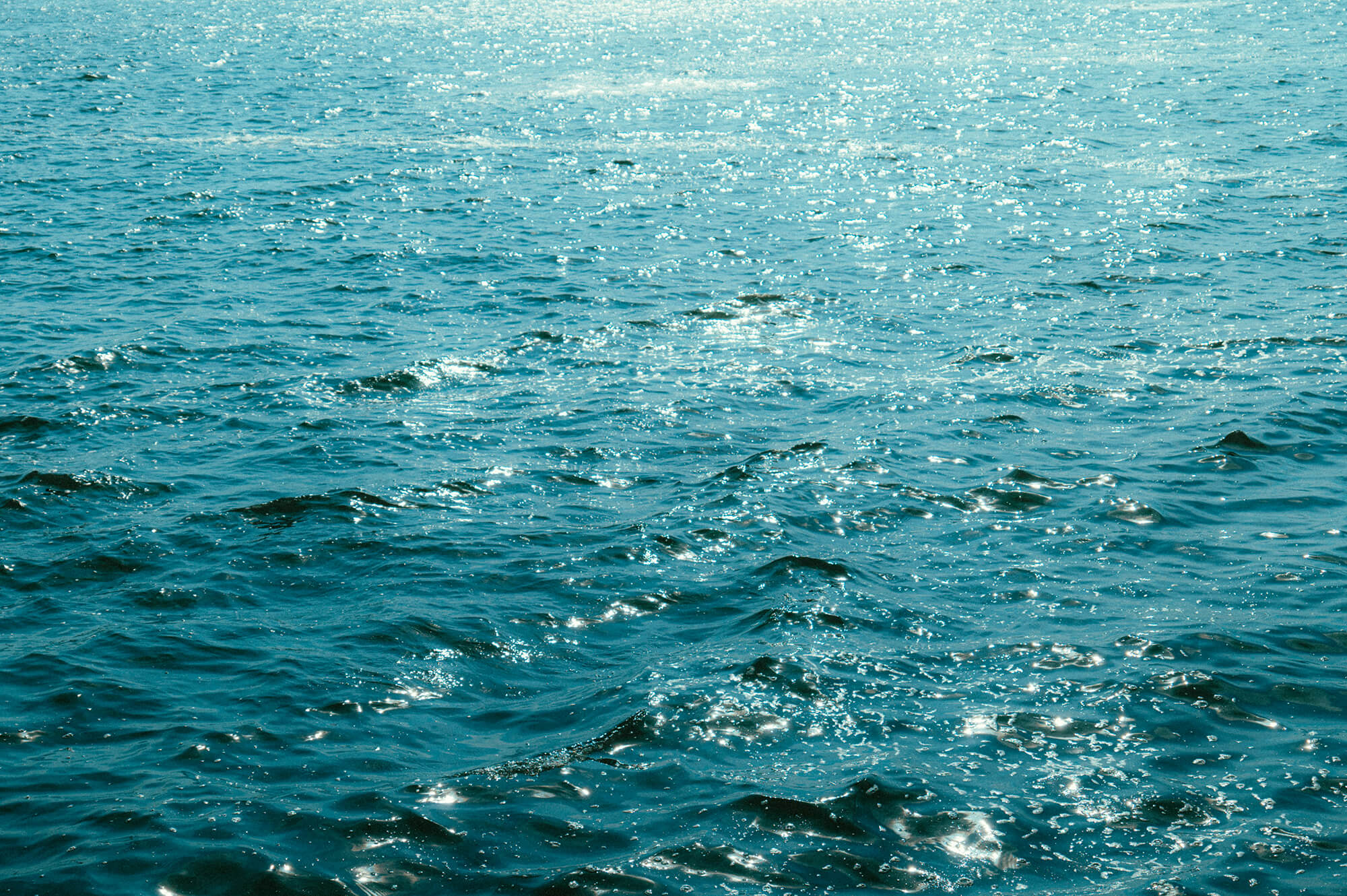 Mingming Ouyang | Unsplash