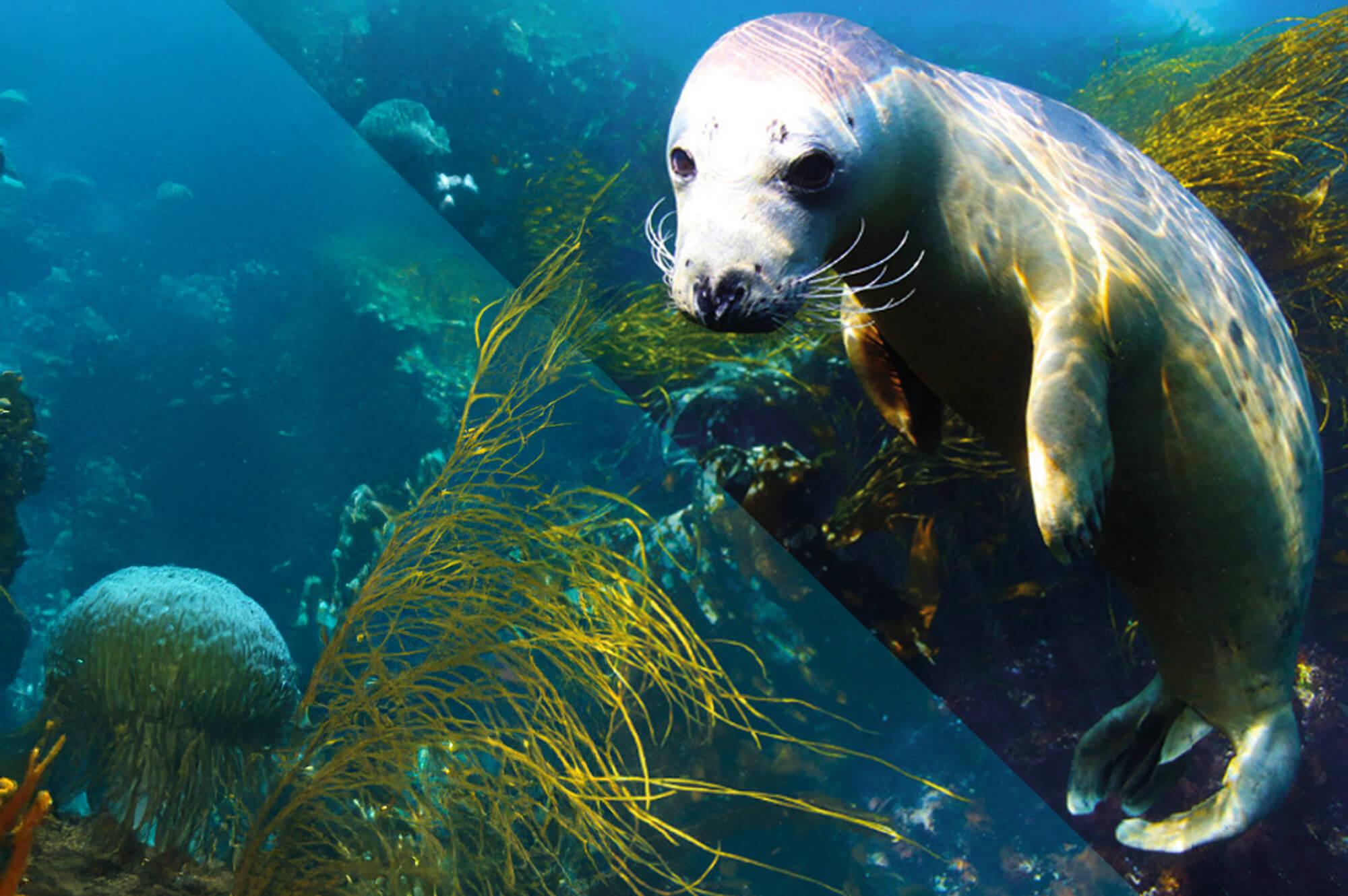 Front cover of the MSPACE Early Warning System