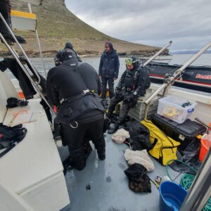 Preparing to dive. Image by Andy Rees