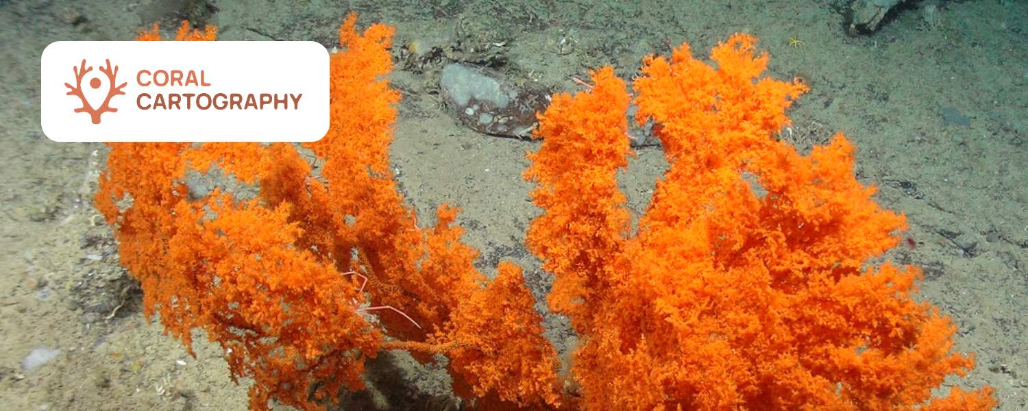 Coral Cartography: Mapping Atlantic Cold-Water Corals to support Area Based Management