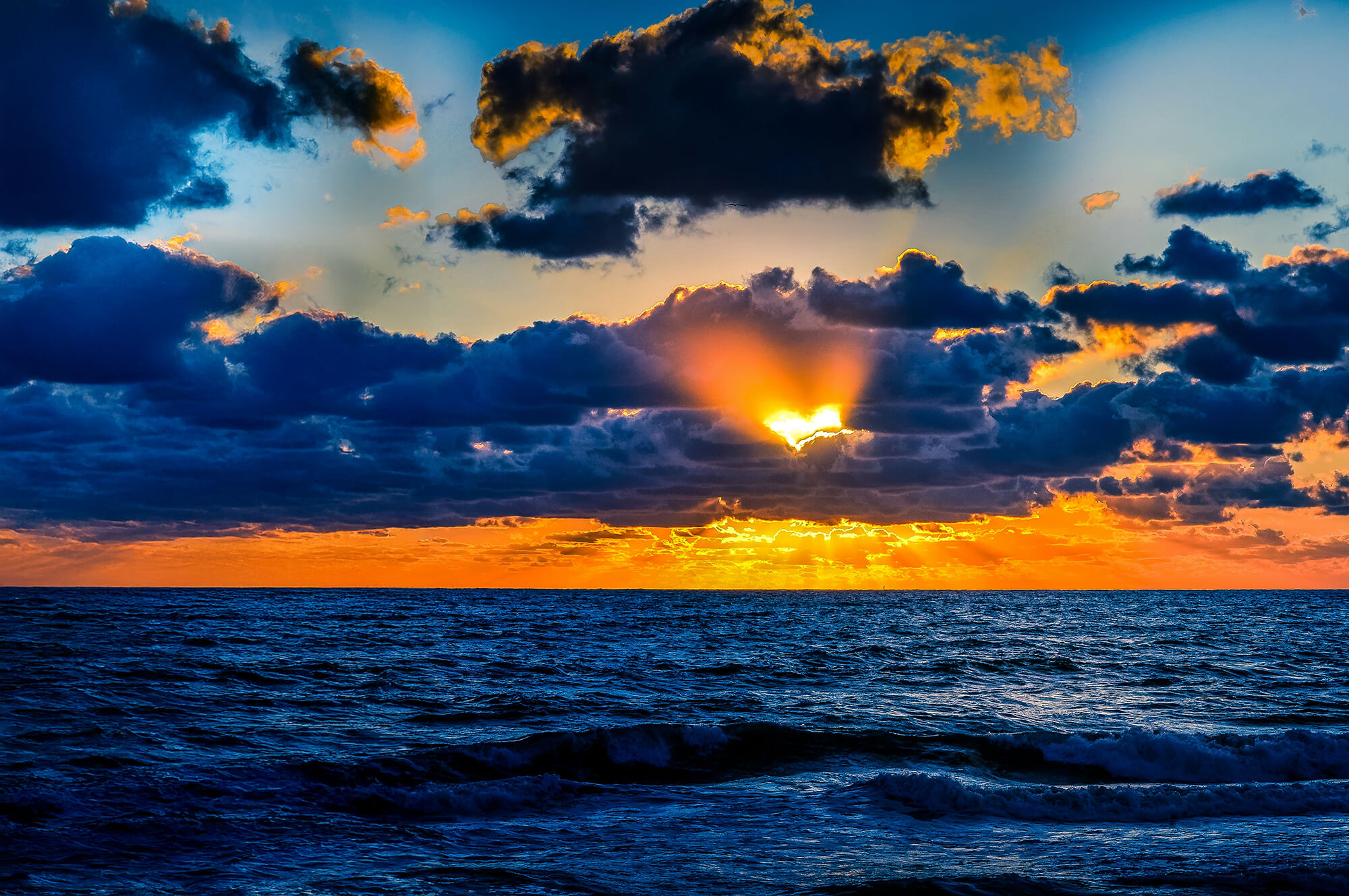 Caring for our environment. Jay Antol | Unsplash