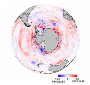 Nearly 70% of the Southern Ocean shows an increase in mean summer chlorophyll a concentrations since the 2016/17 reduction in sea-ice, improving the feeding habitat for salps.