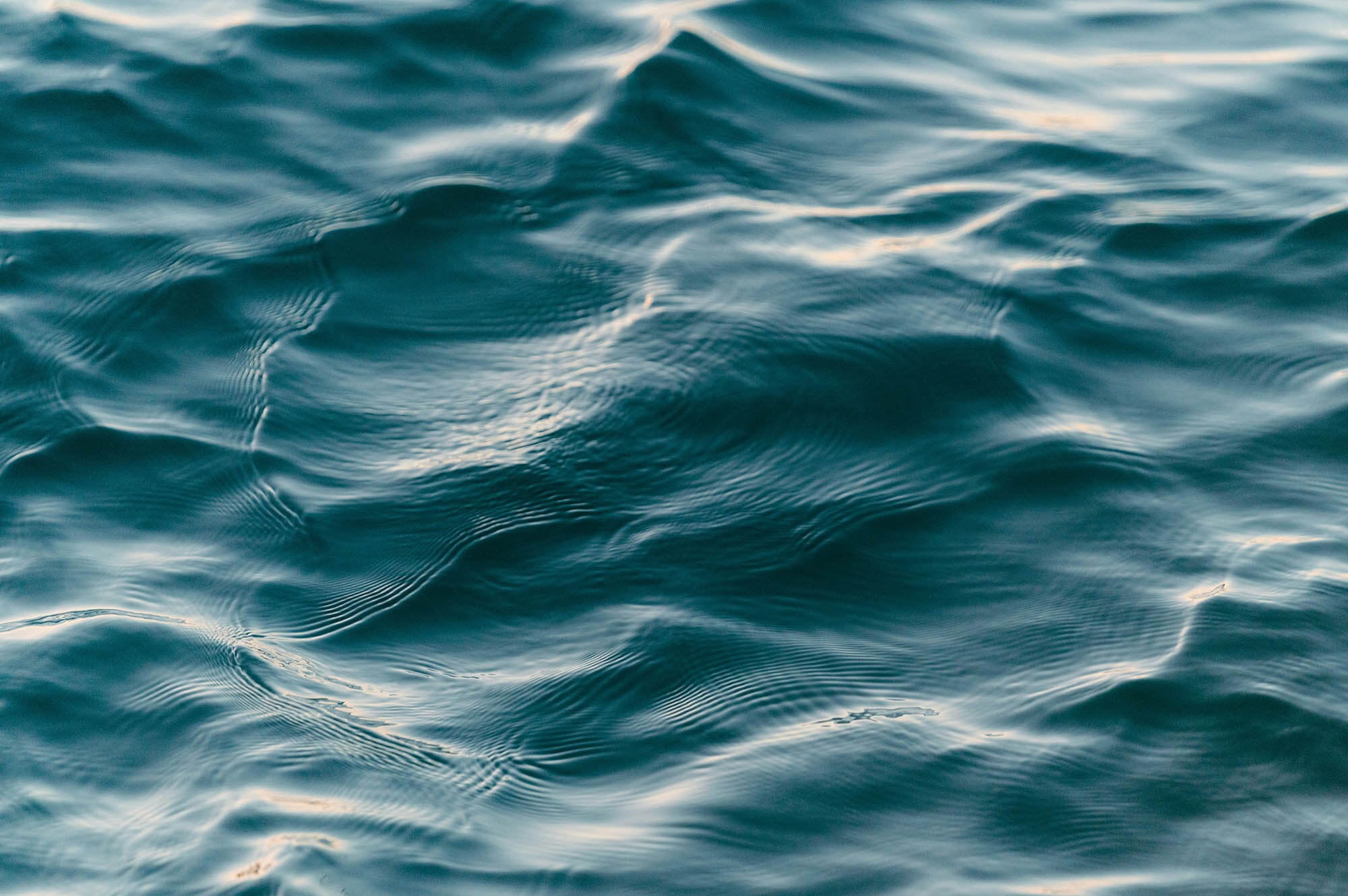 Matt Hardy | Unsplash