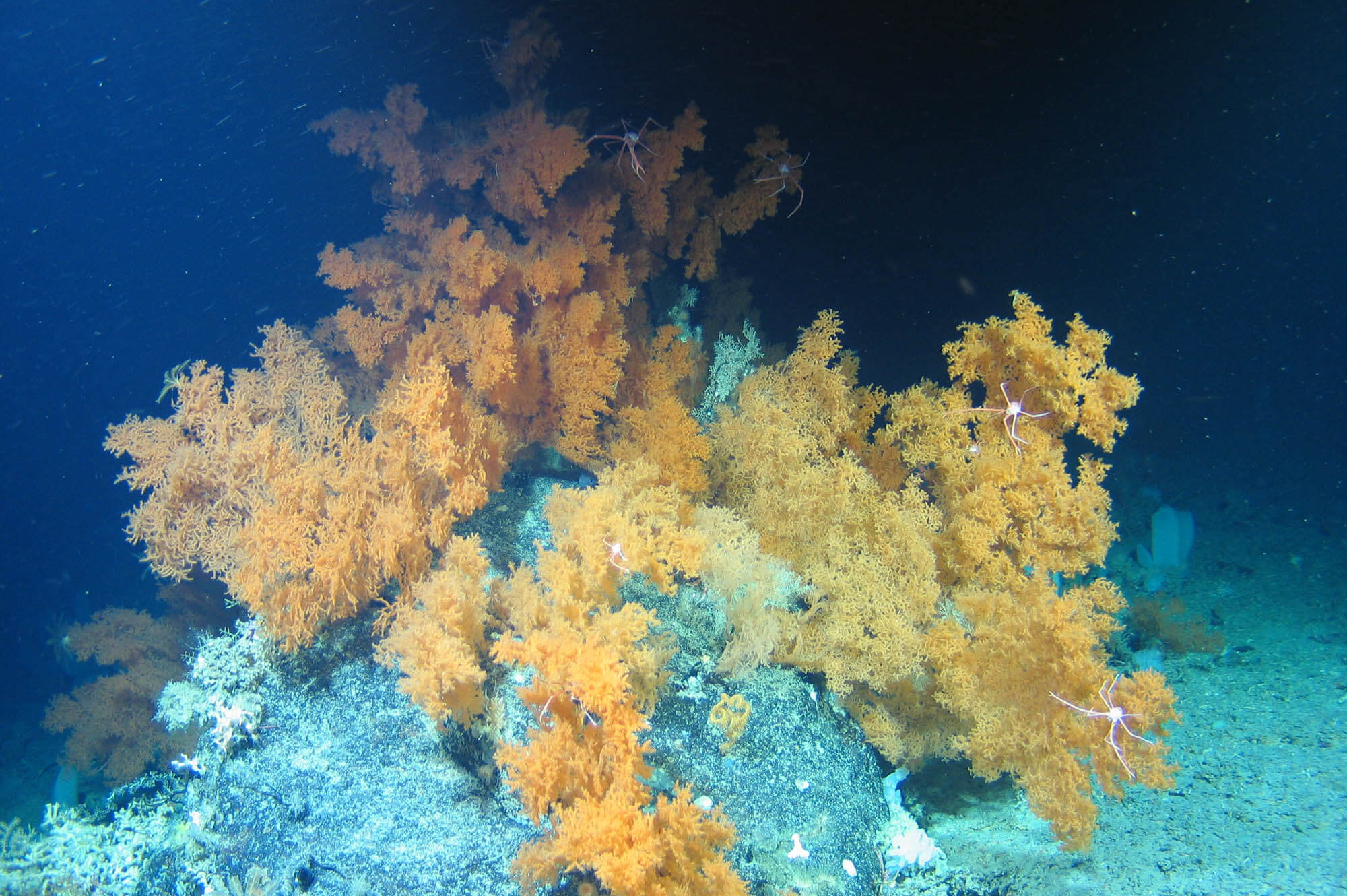 Image courtesy of Eurofleets 2, Marine Institute, University of Plymouth