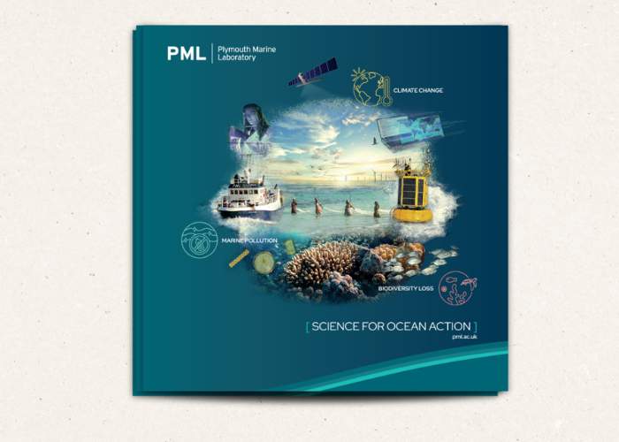 PML Brochure