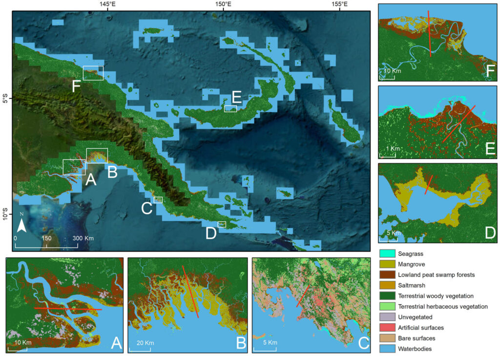 Land cover mapping for the coastal landscapes of PNG generated through Living Earth framework using Earth observation data. Shore normal transects of 6 sites (red line) displayed for (A) Fly river delta of Western Province, (B) Kikori delta, Central Province, (C) Port Morsby, Central Province, (D) near Orangerie Bay, Milne Bay Province, (E) Dagi river, West New Brittain Province, (F) Sepik river, West Sepik Province. 