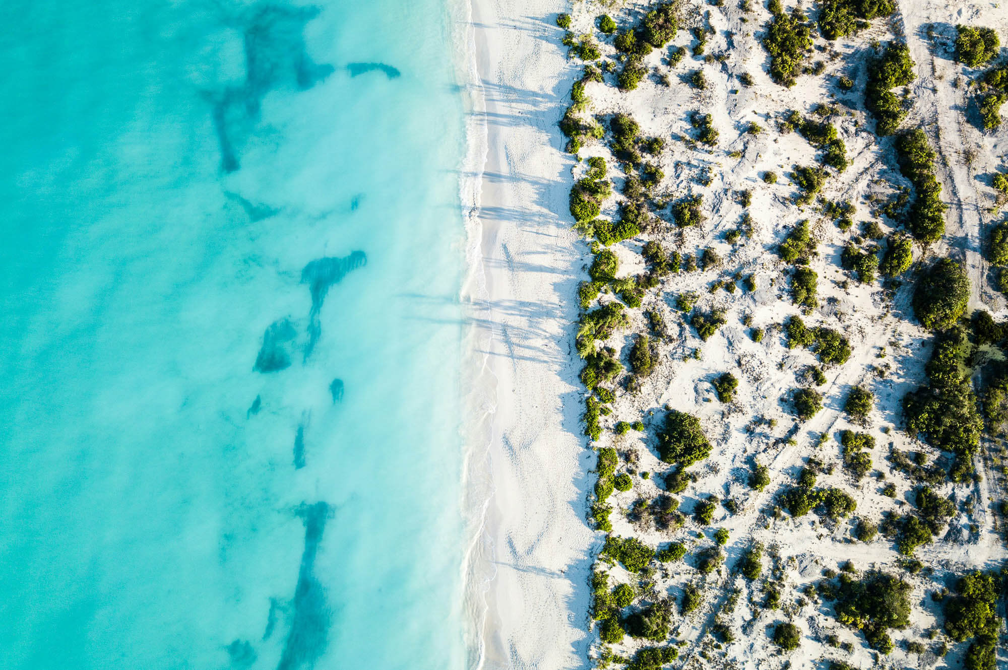 Turks and Caicos Islands. Romello-Williams | Unsplash