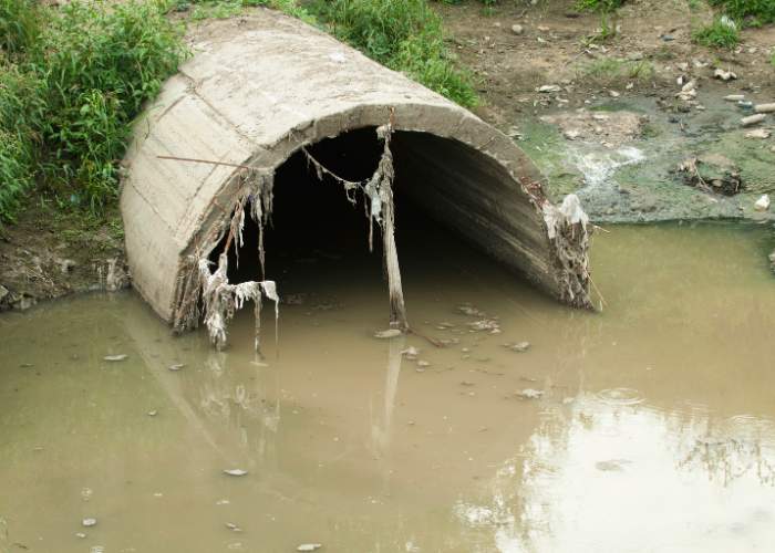 water pollution entry