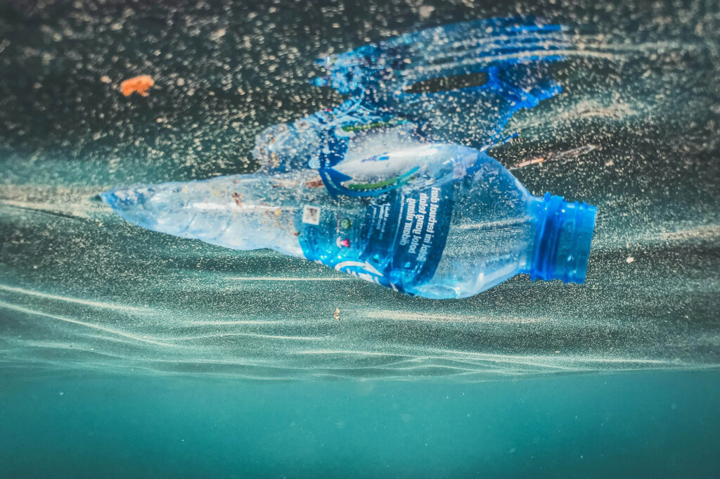 Single use water bottle in the ocean. Naja Bertolt Jensen | Unsplash