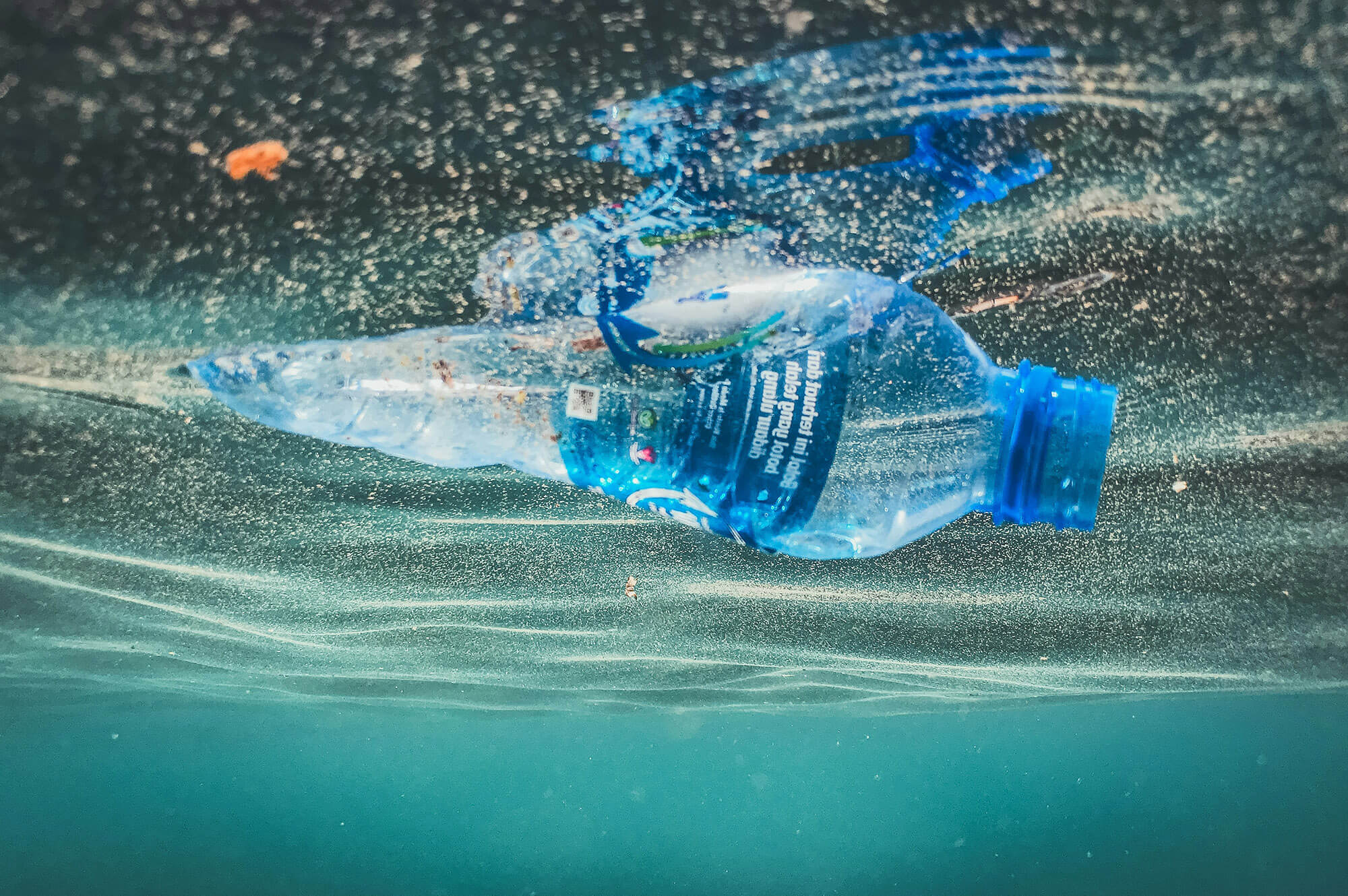 Single use water bottle in the ocean. Naja Bertolt Jensen | Unsplash