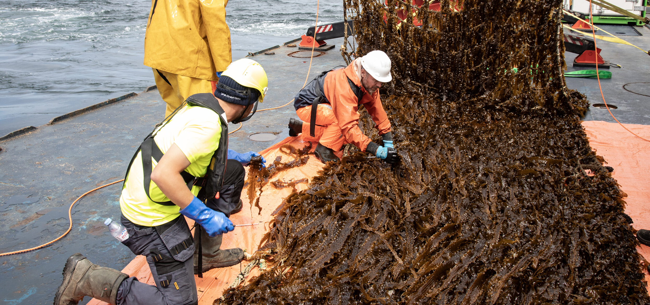 Ocean-based solutions for climate change