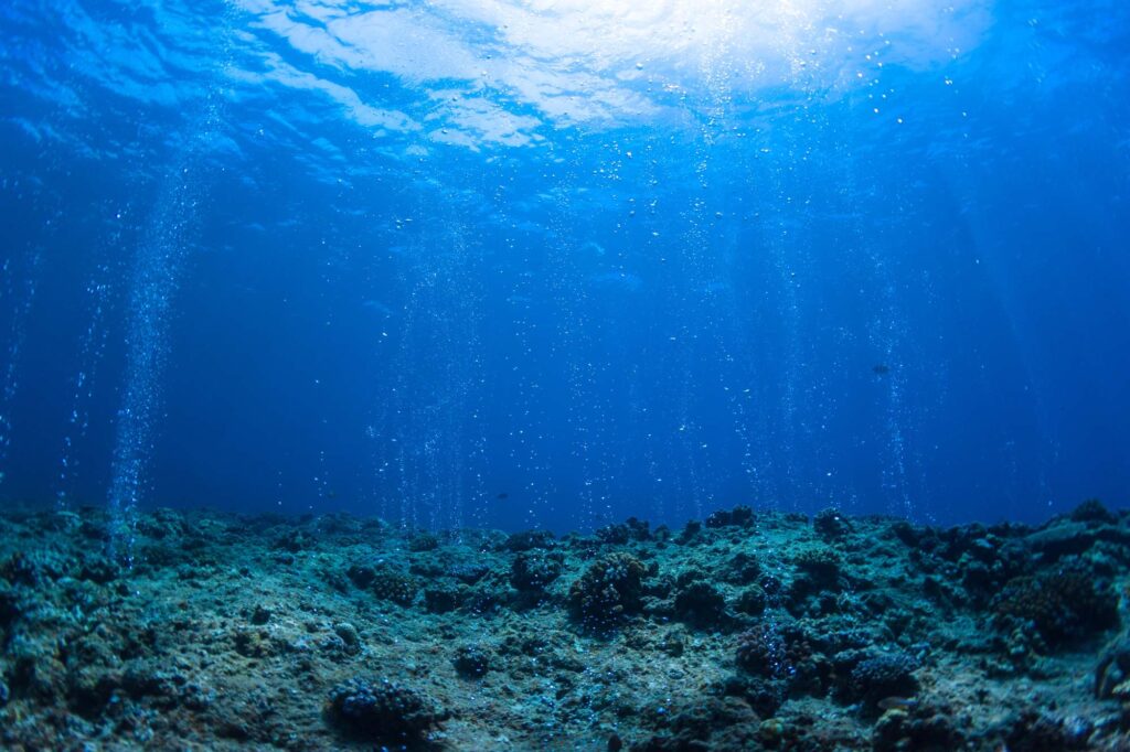 Seafloor under ocean