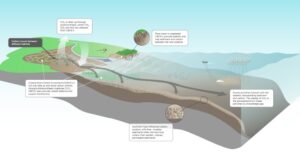 Open Ocean ecosystem roles in the carbon cycle. Sources: Bar-On et al. (2018), Boyd et al. (2019), Friedlingstein et al. (2023), Greenspoon et al. (2023), and Siegel et al. (2022).
