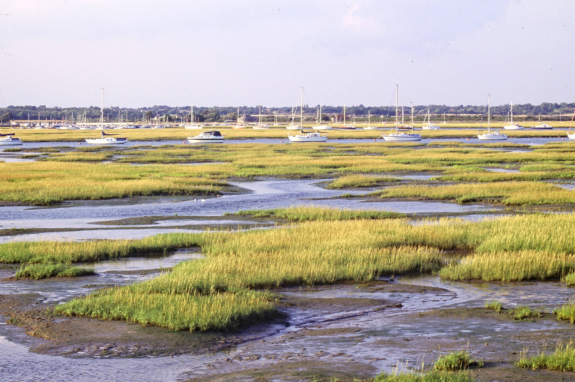 Lymington, Keyhaven Marshes, Solent Maritime SA. Natural England, CC BY-NC-ND 2.0