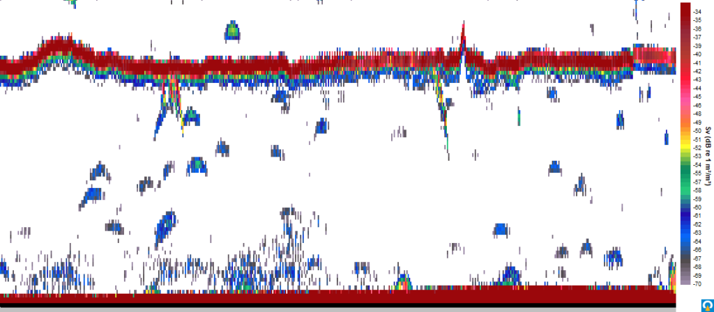Example 'echogram' from the 38 kHz scientific echosounder. The strong red band near the top of the image is the acoustic echo from a calibration sphere suspended beneath the AutoNaut, while the seabed is visible at the bottom. Smaller isolated echoes in the water column are likely individual fish. Colours indicate the strength of the acoustic return, with warmer colours (red) representing stronger echoes. Provided by Cefas.