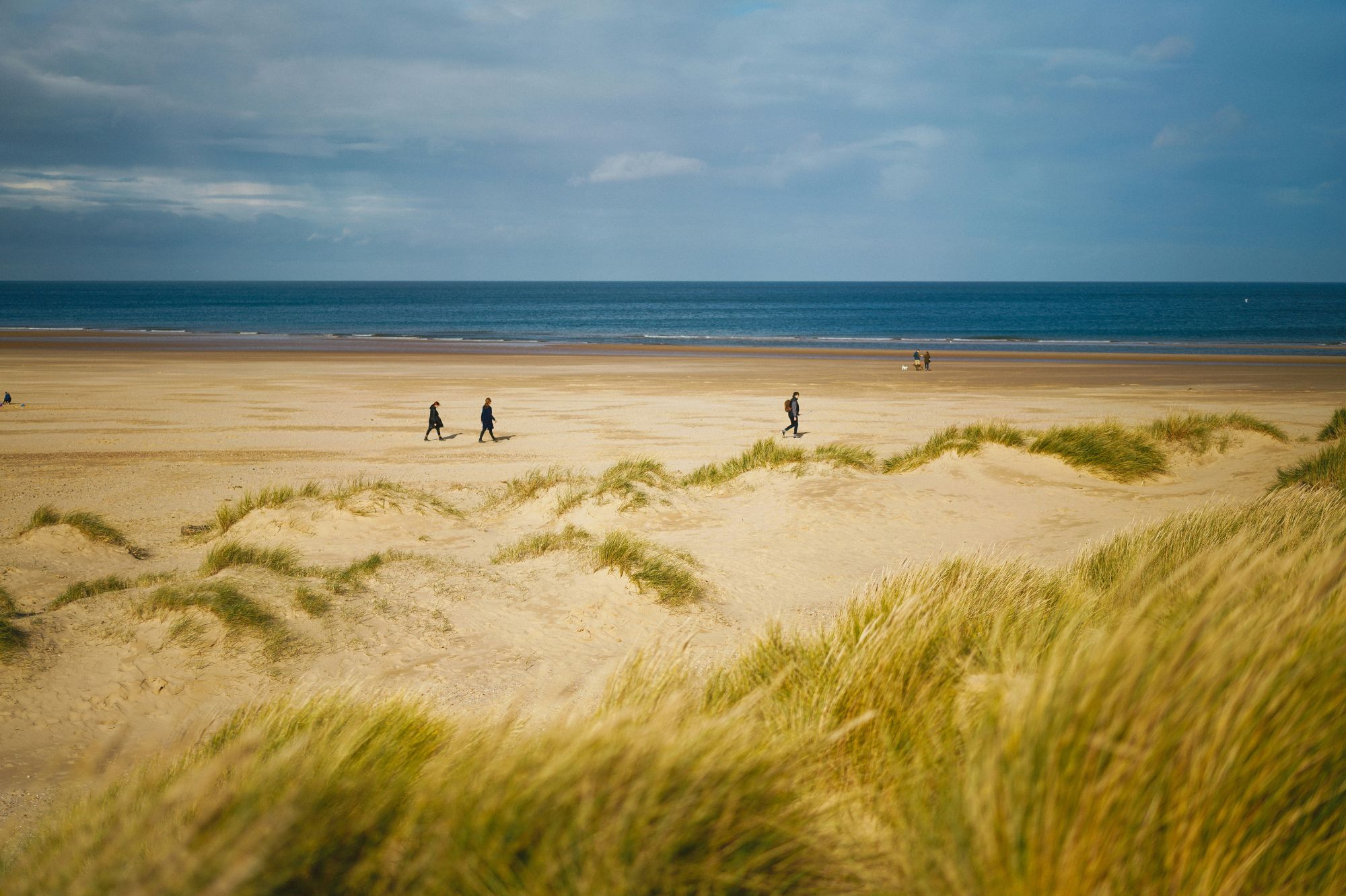 Photo by Phil Hearing on Unsplash
