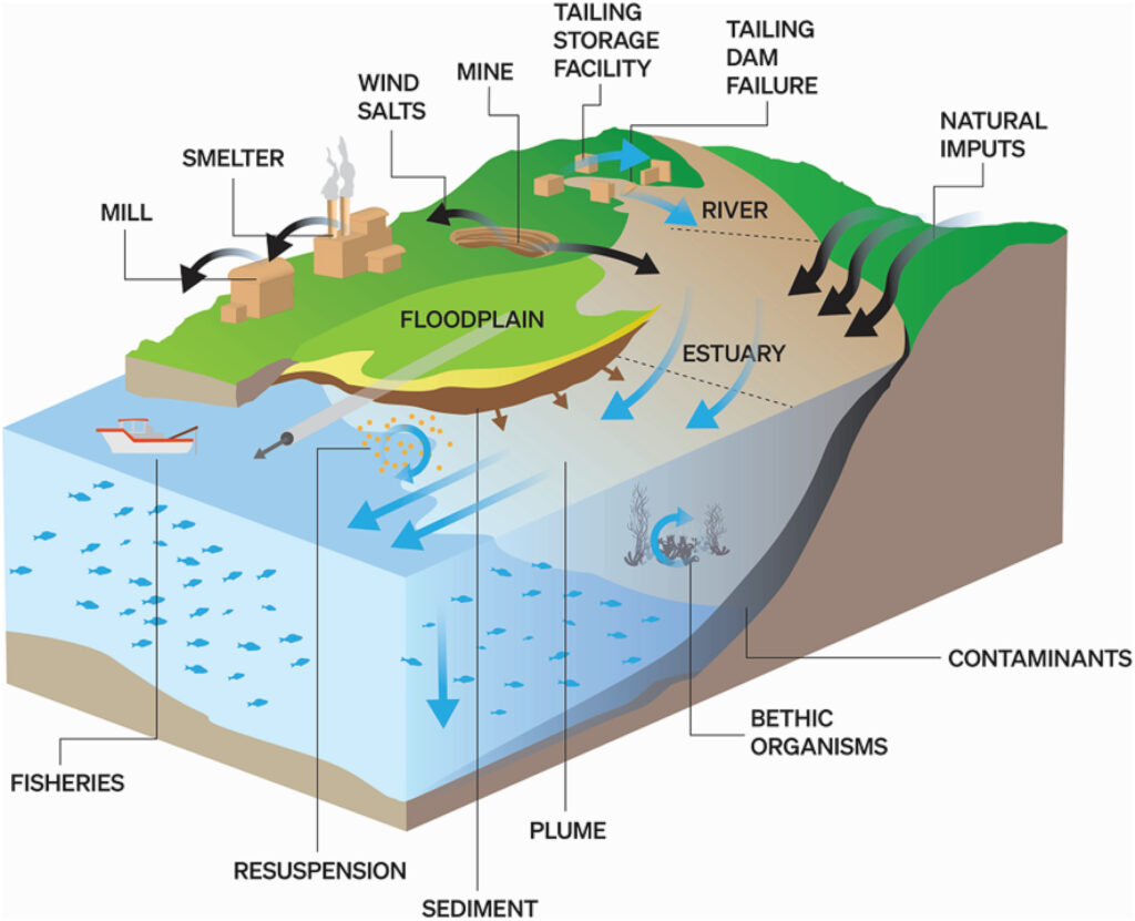 Effects of mining activity on the coastal environment. Blue and black arrows represent river/stream and wind transport pathways for metal mine contaminants, respectively.