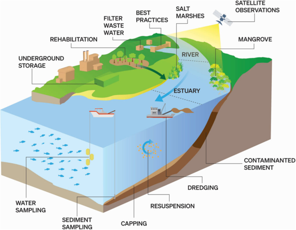 Ways to observe and reduce mining impacts on the coastal environment. Blue and black arrows represent river/stream and wind transport pathways for metal mine contaminants, respectively.