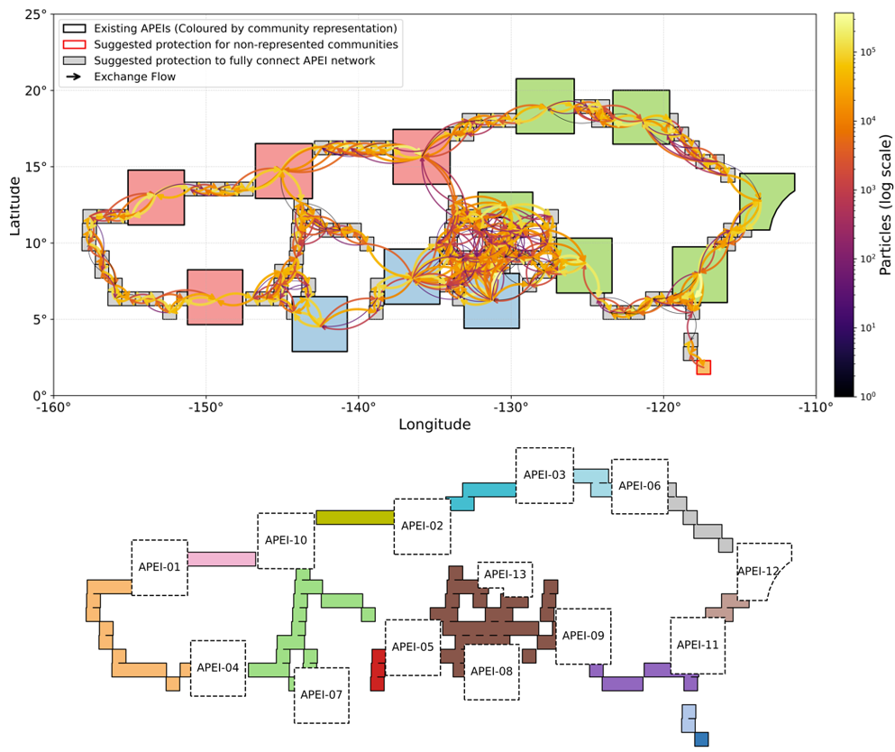Top: Enhanced Areas of Particular Environmental Interest (APEI) network with particle exchange flows showing the optimised protected area configuration, including existing APEIs (coloured by community), and suggested additions to connect the network (black outline), and represent previously unprotected communities (red outline: one box). Arrows indicate larval exchange flows between sites, with colour intensity scaled by particle count (log₁₀). Bottom: shows the grouped configuration of the 13 sites proposed to enhance APEI connectivity.