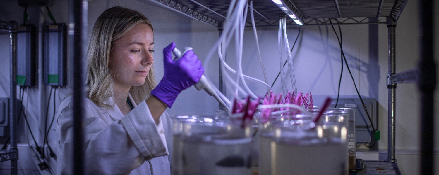 Charlotte Woodhouse - Lugworm Tyre particle experiment PML