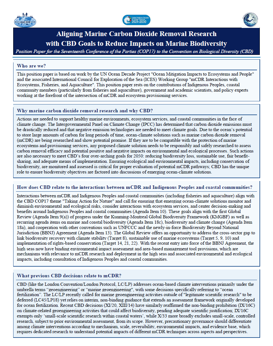 Cover of the mCDR position paper for CBD COP17