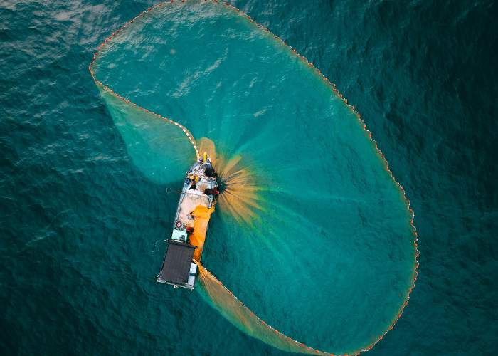 seabed trawling